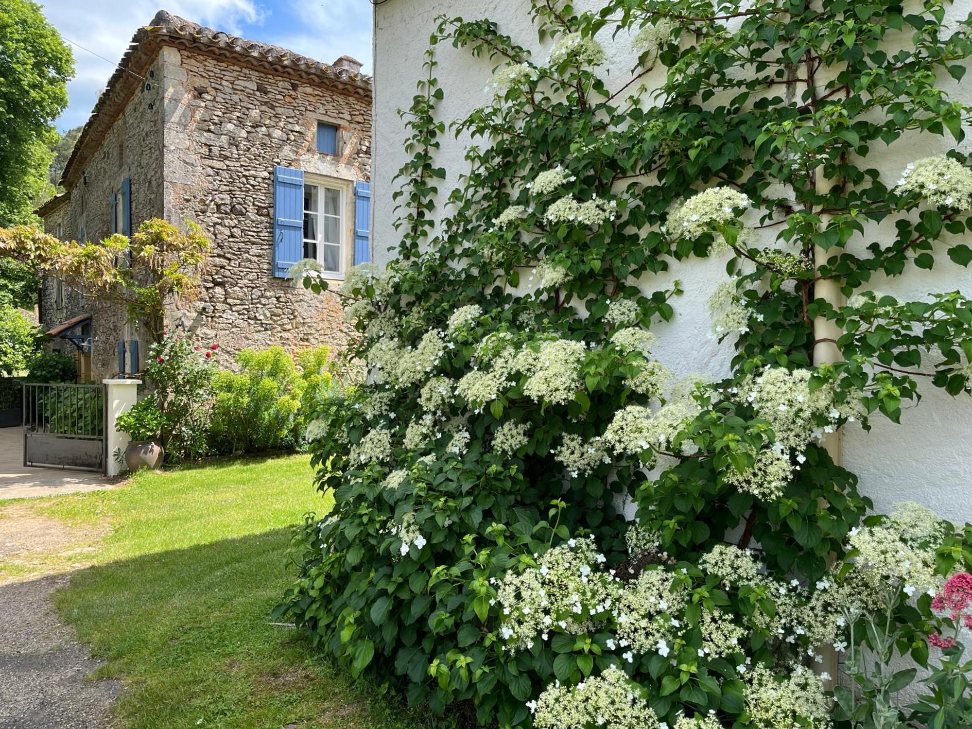 La Maison D'Irene Soturac エクステリア 写真